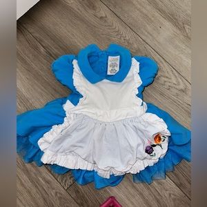 Alice in wonderland Disney costume